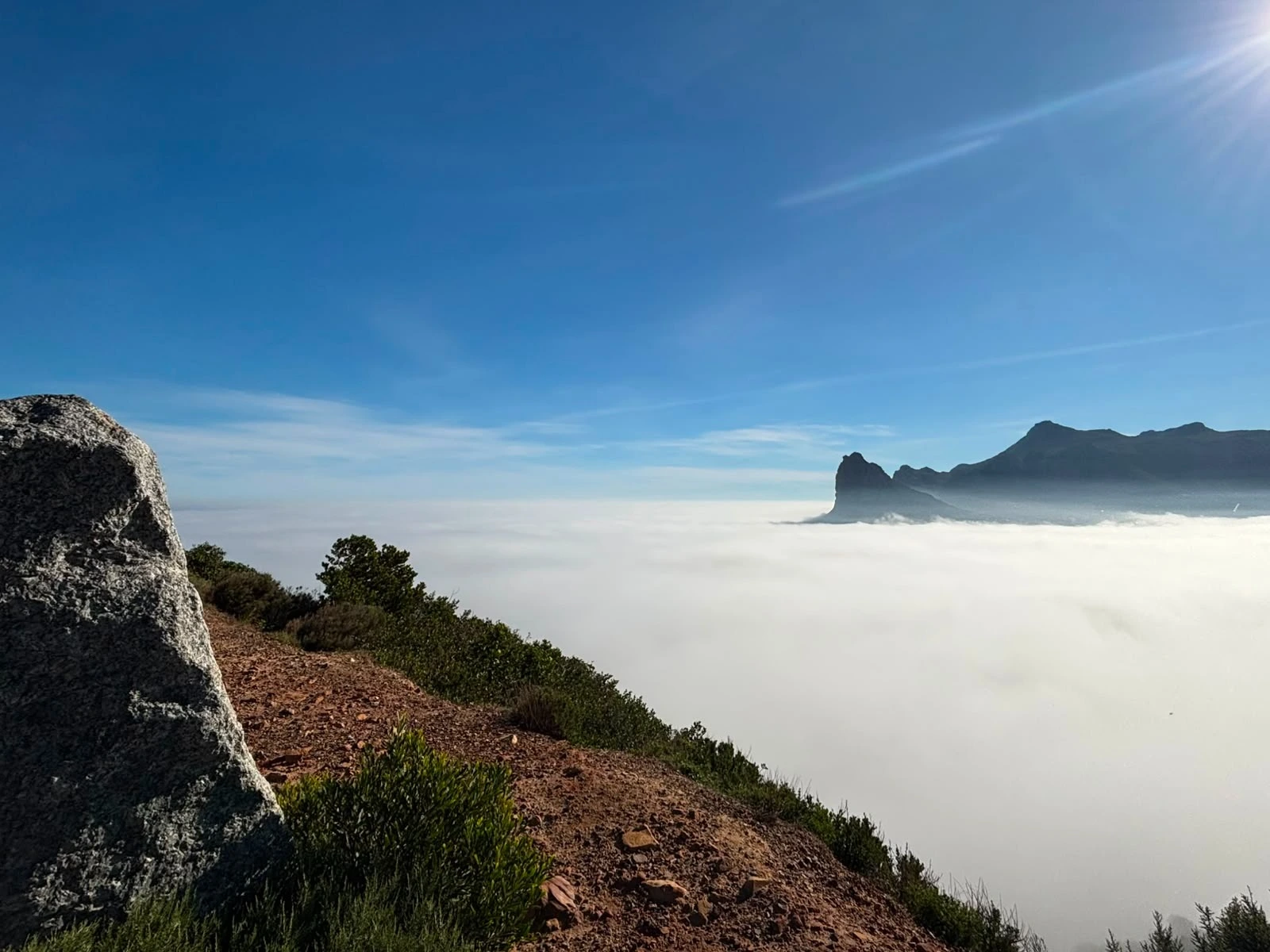 Cape Peninsula Tour tour preview