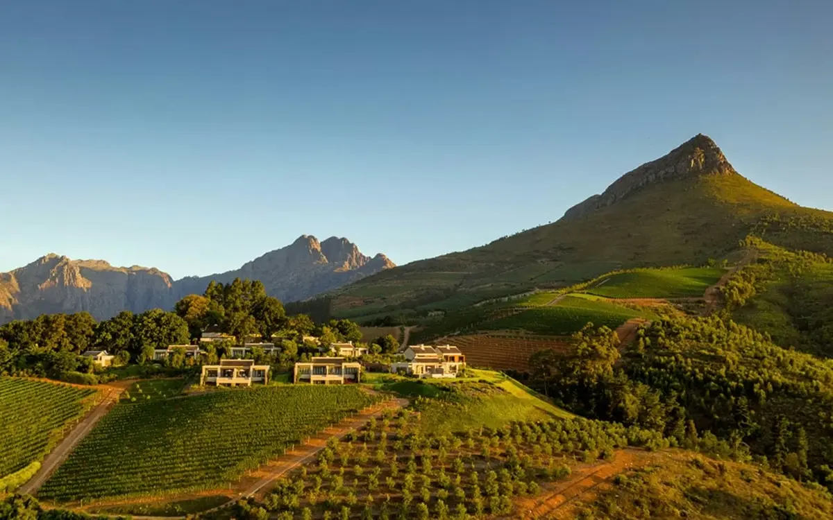 Premium Stellenbosch Wine, Cheese & Chocolate Pairing Tour tour preview