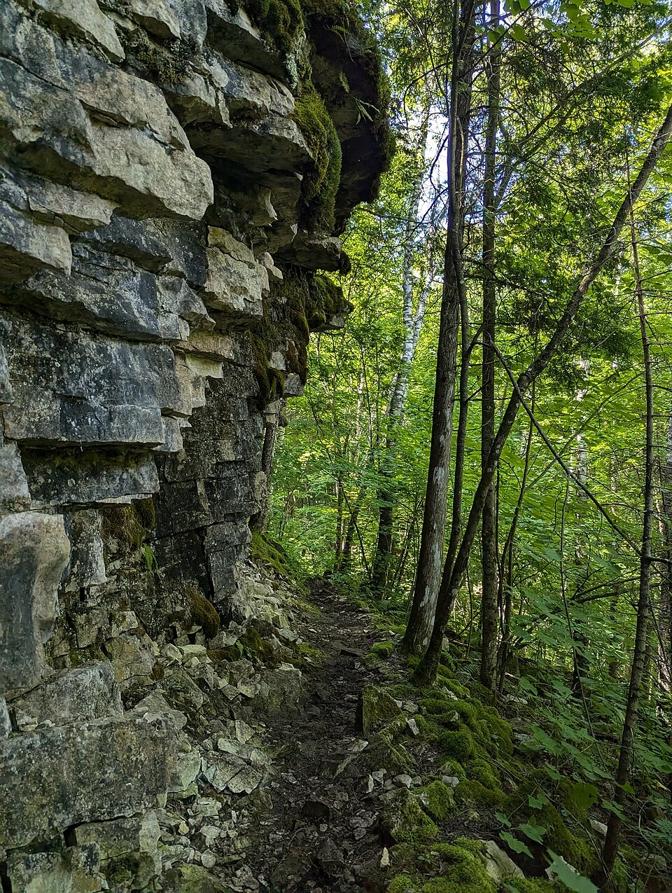 Lion’s Head Trail Start main