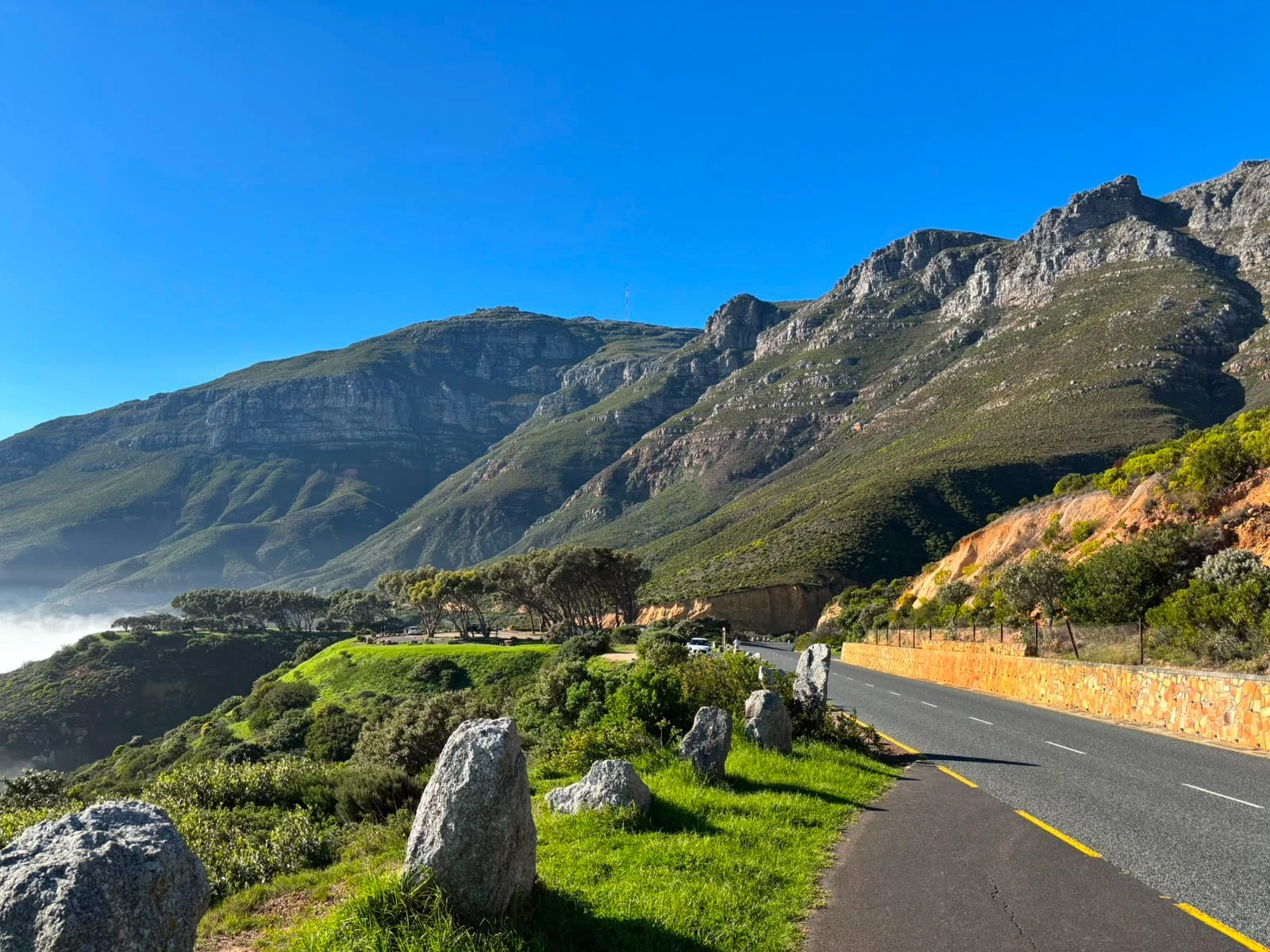 Cape Peninsula Tour gallery image 8