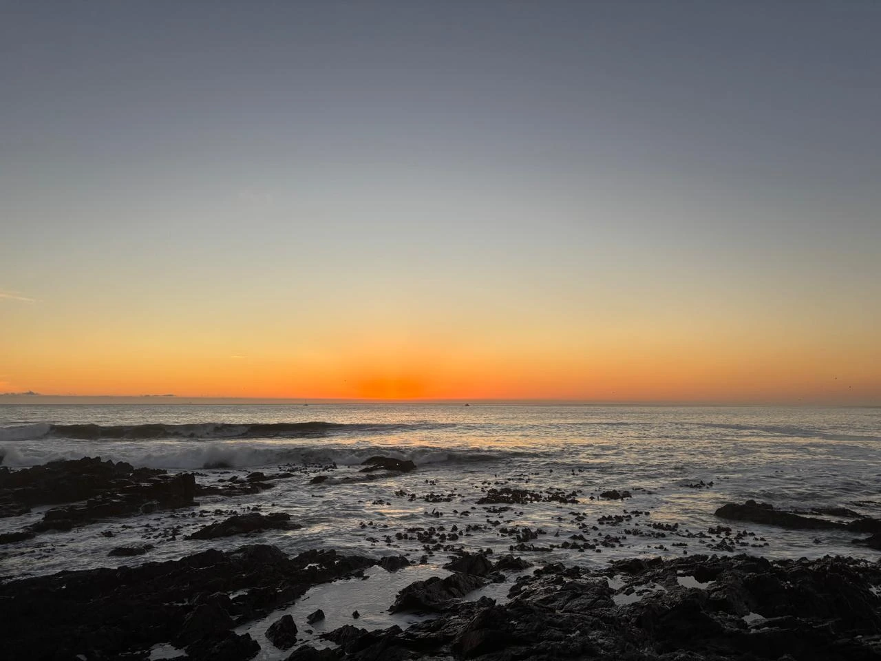 Cape Peninsula Tour gallery image 6