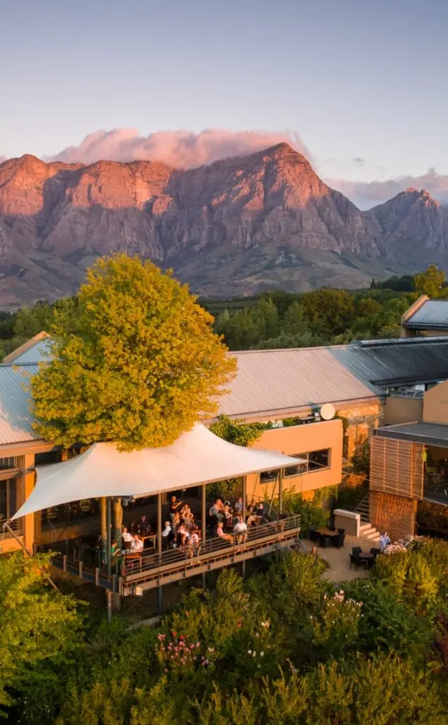 Premium Stellenbosch Wine, Cheese & Chocolate Pairing Tour extra gallery image 12