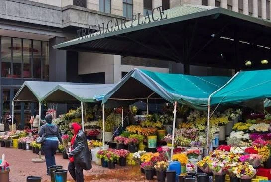 Adderley Street Flower Market main