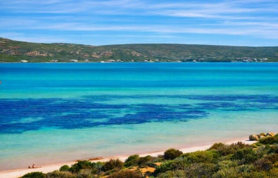 West Coast National Park, Kraalbaai & Groote Post Winery gallery image 5