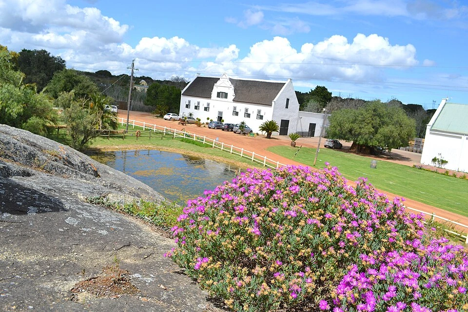 West Coast National Park, Kraalbaai & Groote Post Winery gallery image 6