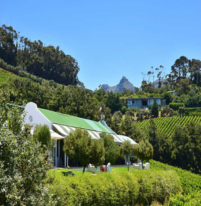Cape Town Gems – Kirstenbosch & Constantia Winelands Experience gallery image 4