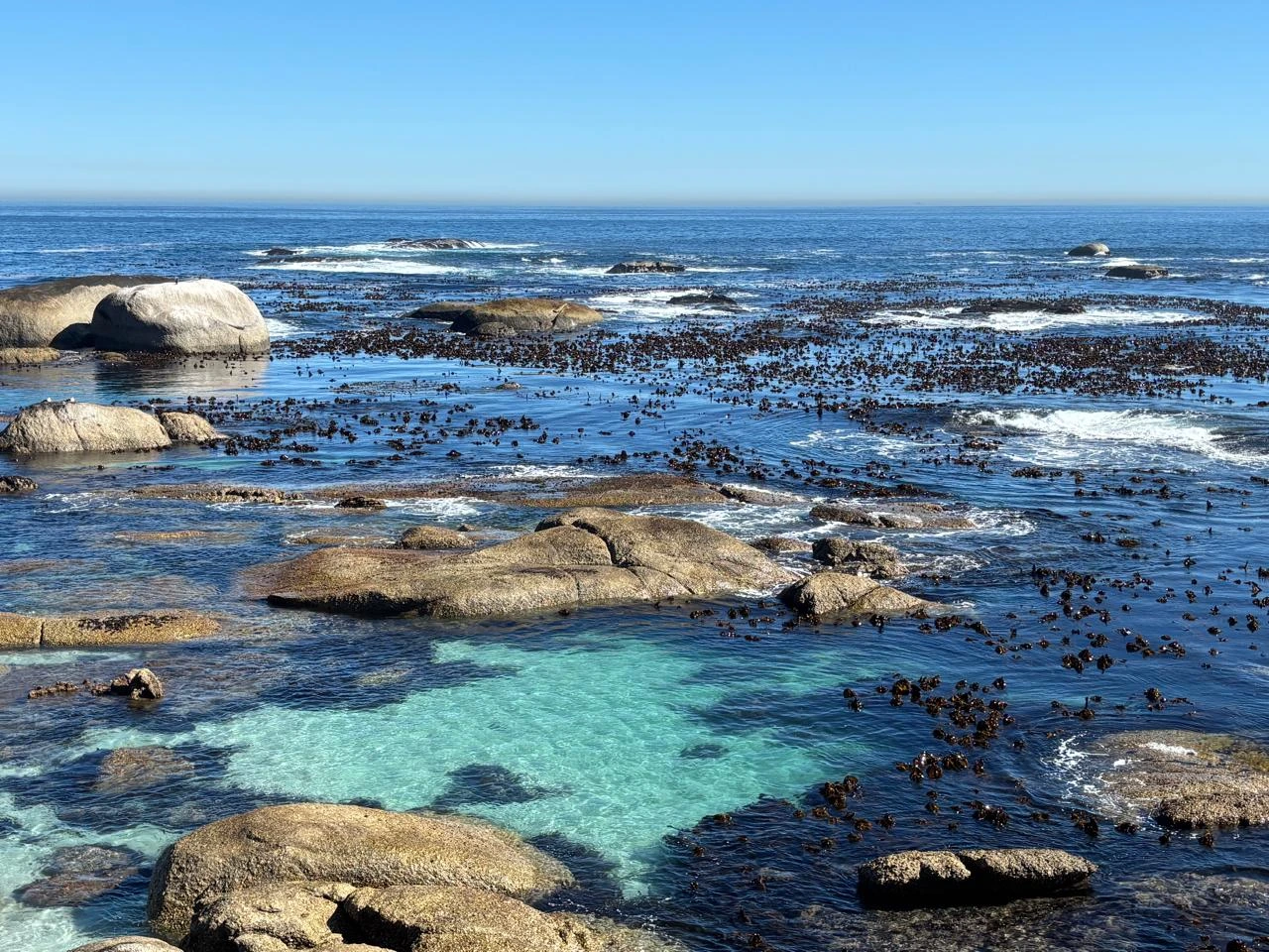 Cape Peninsula Tour extra gallery image 14