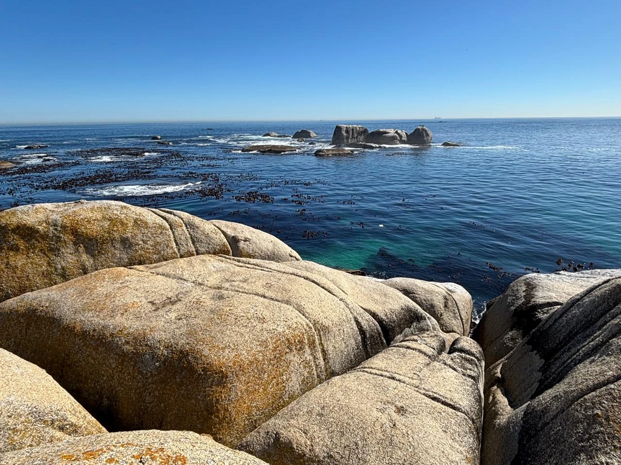 Cape Peninsula Tour extra gallery image 16