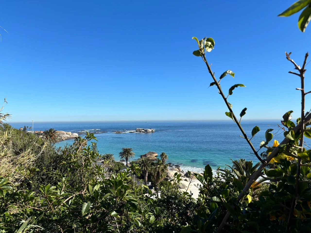 Cape Peninsula Tour extra gallery image 17