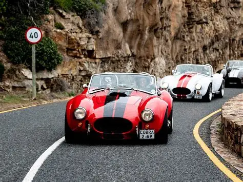 8hr Self‑Drive Cobra Experience extra gallery image 14